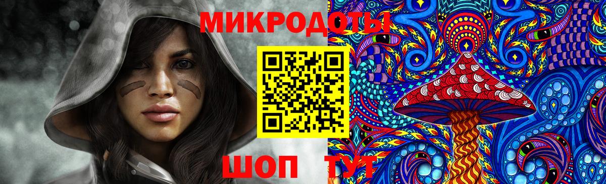 дарнет шоп  Псилоцибиновые грибы мухоморы  Вход с VPN  Будённовск 